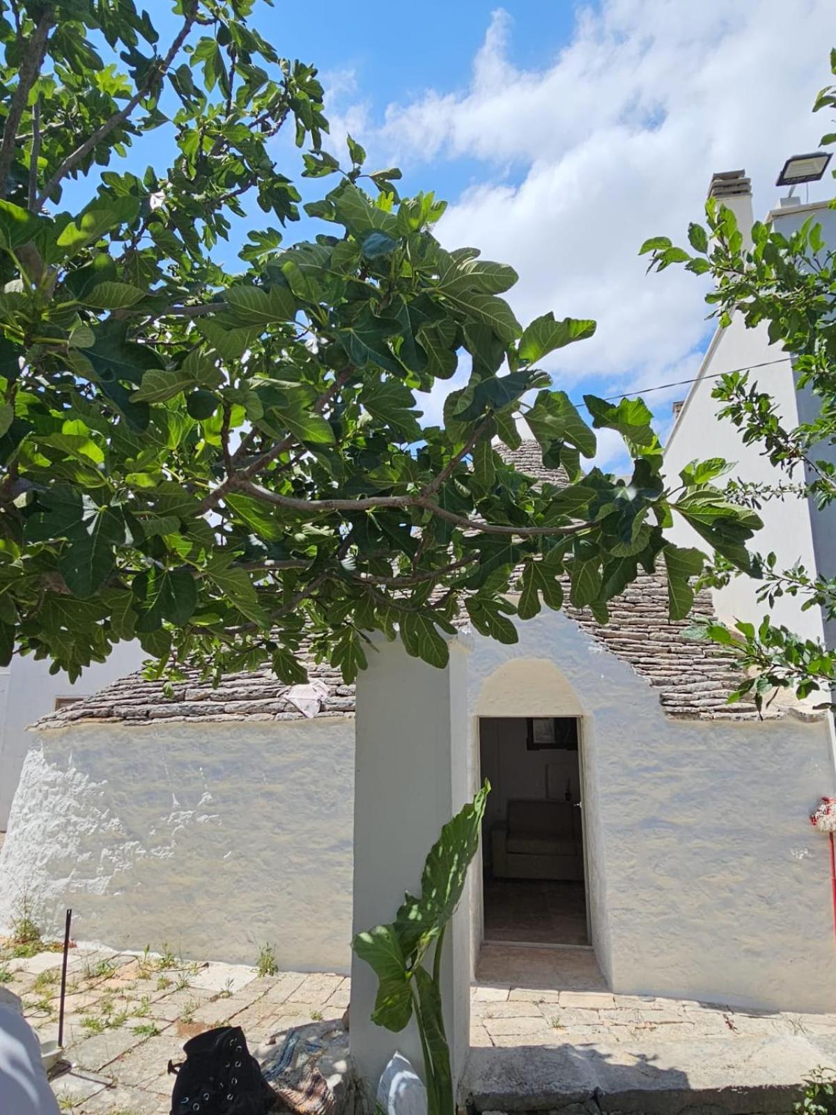 אלברובלו River Trulli Oasi Di Pace In Sito Unesco מראה חיצוני תמונה