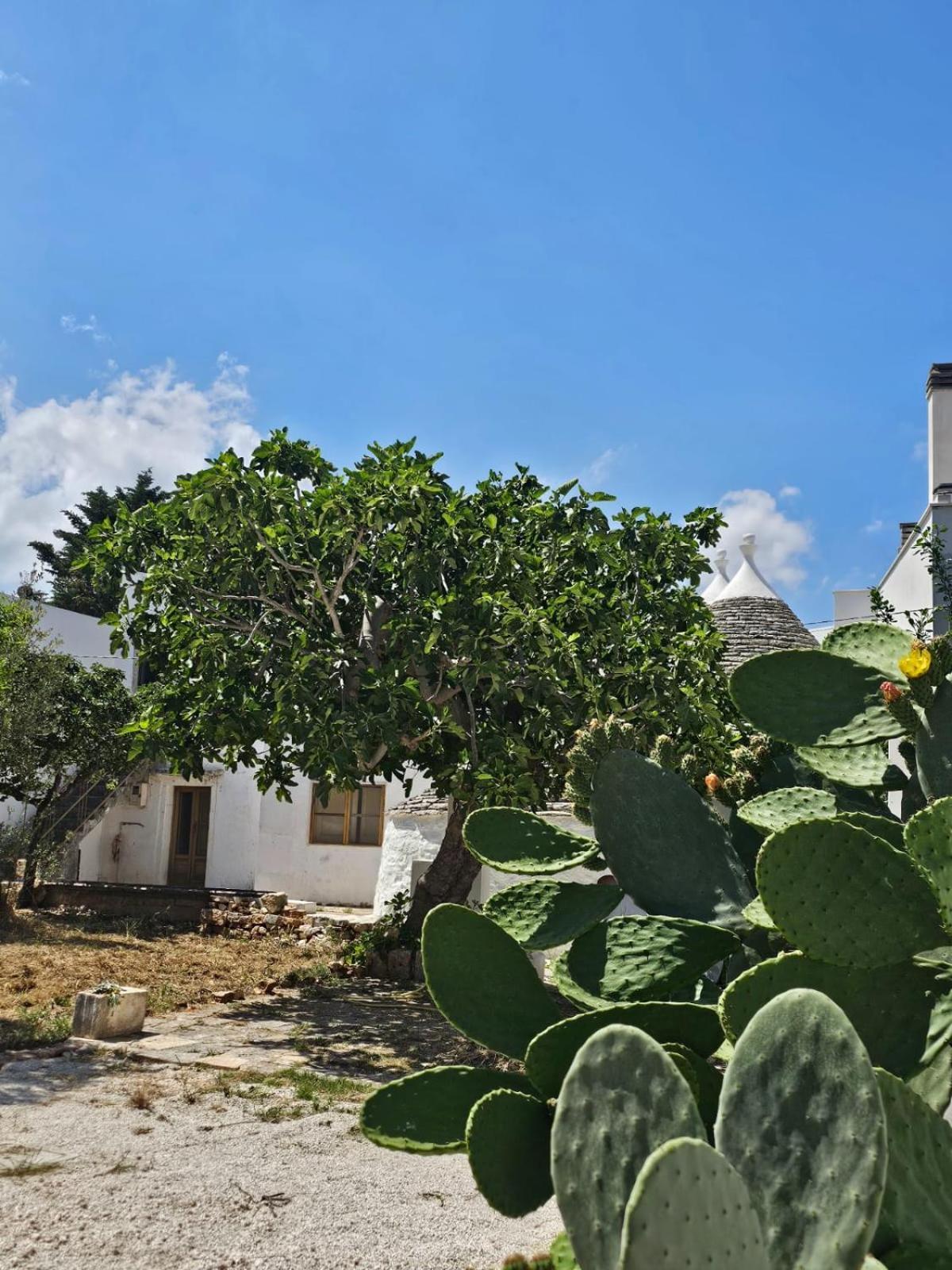 אלברובלו River Trulli Oasi Di Pace In Sito Unesco מראה חיצוני תמונה